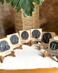 Aretes Caravana