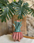 Piña De Barro | 17 CM