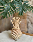 Piña De Barro | 17 CM