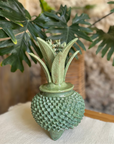 Piña De Barro | 26 CM