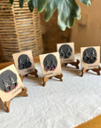 Aretes Caravana